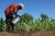 Agriculteur