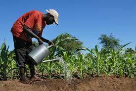Agriculteur