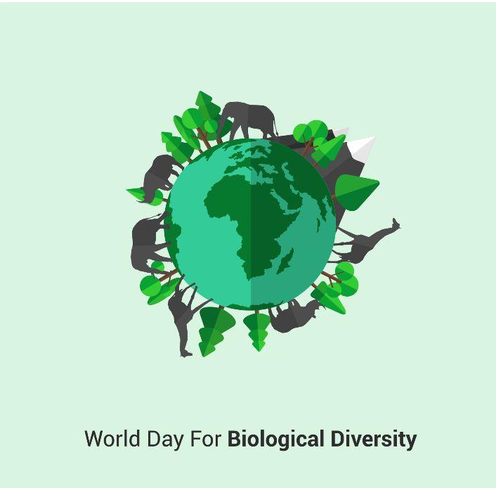 Biodivercite