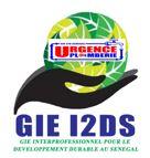 Logo gie i2ds