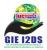 Logo gie i2ds